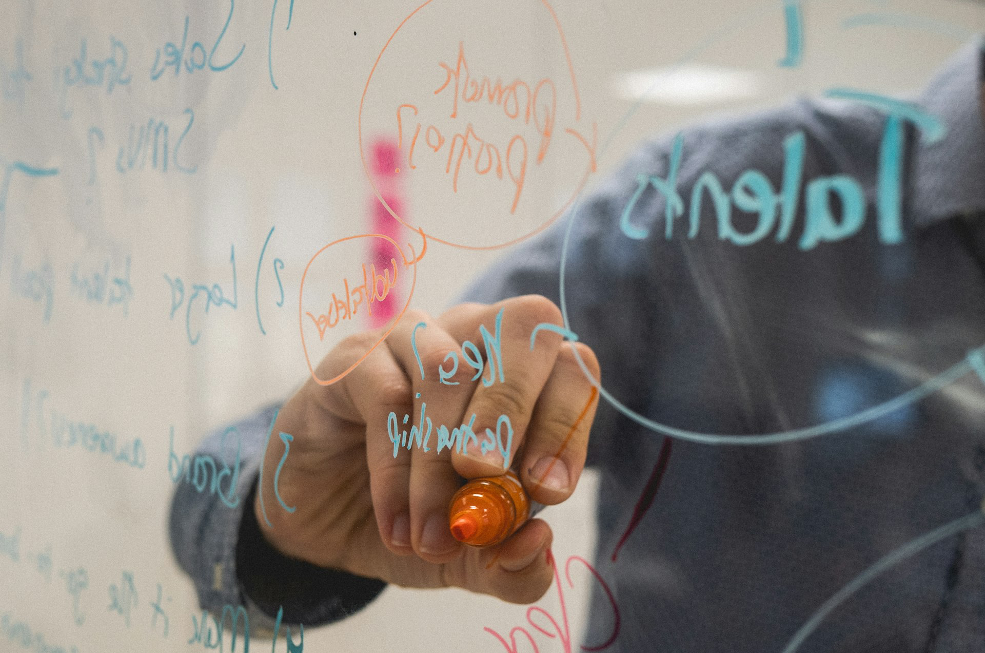 person holding orange flower petals